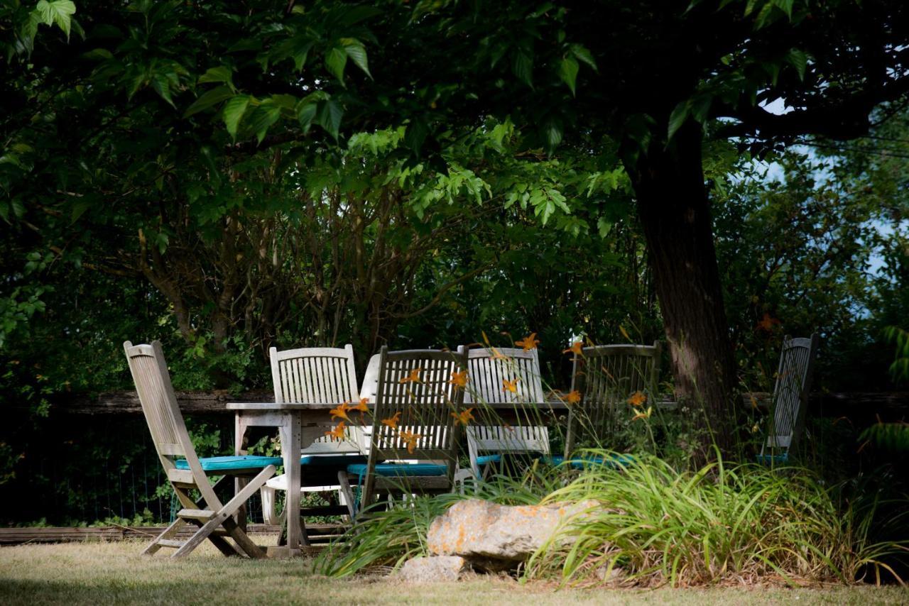 Nature'S Pace Holidays Montmaur (Aude) Exterior foto