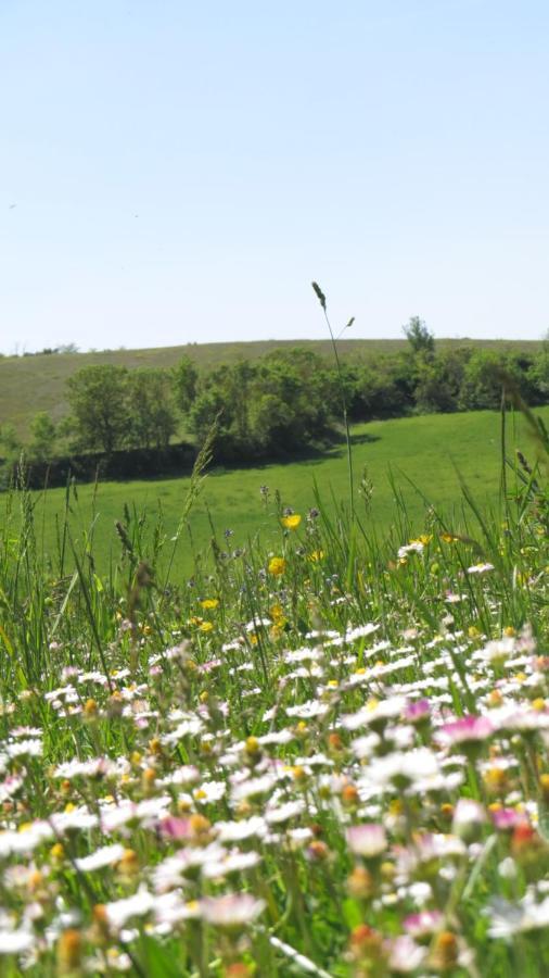 Nature'S Pace Holidays Montmaur (Aude) Exterior foto