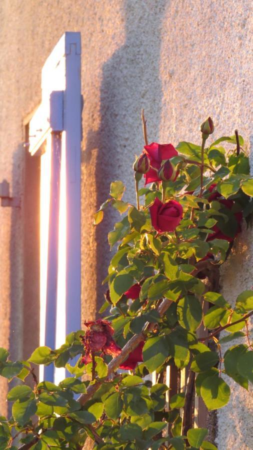 Nature'S Pace Holidays Montmaur (Aude) Exterior foto