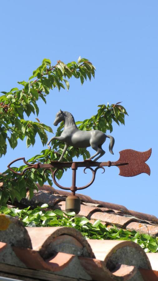 Nature'S Pace Holidays Montmaur (Aude) Exterior foto