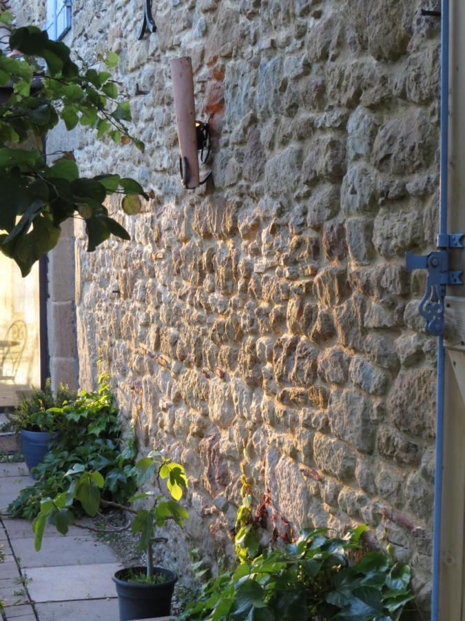 Nature'S Pace Holidays Montmaur (Aude) Exterior foto