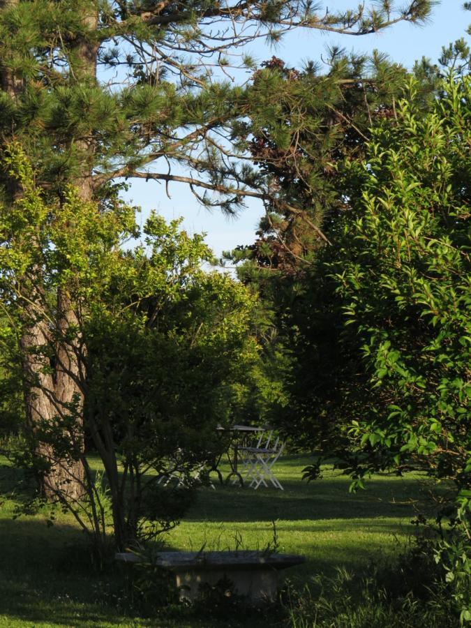 Nature'S Pace Holidays Montmaur (Aude) Exterior foto